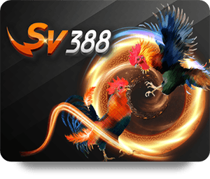 Phân Tích Thống Kê Để Dự Đoán Chuẩn Tại 188BET
